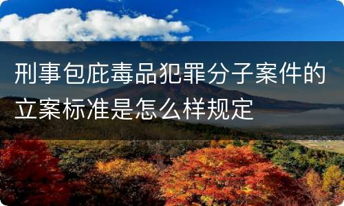 刑事包庇毒品犯罪分子案件的立案标准是怎么样规定