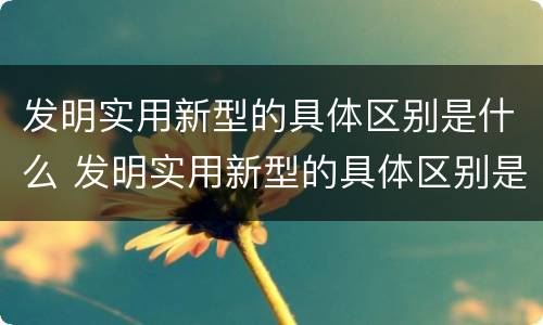 发明实用新型的具体区别是什么 发明实用新型的具体区别是什么和什么