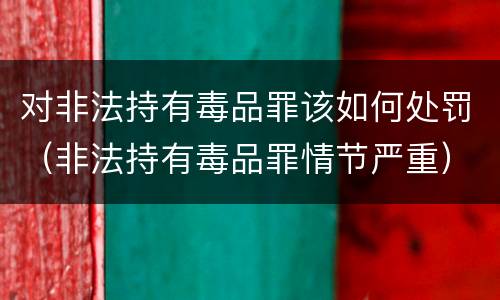 对非法持有毒品罪该如何处罚（非法持有毒品罪情节严重）