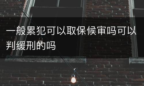 一般累犯可以取保候审吗可以判缓刑的吗