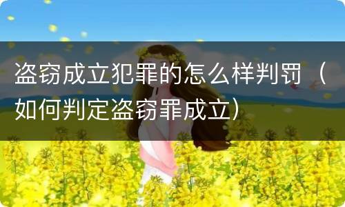 盗窃成立犯罪的怎么样判罚（如何判定盗窃罪成立）