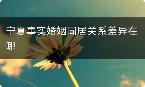 宁夏事实婚姻同居关系差异在哪