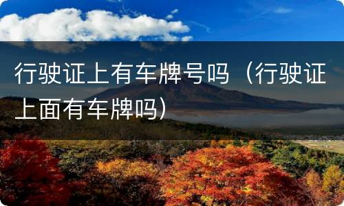 行驶证上有车牌号吗（行驶证上面有车牌吗）