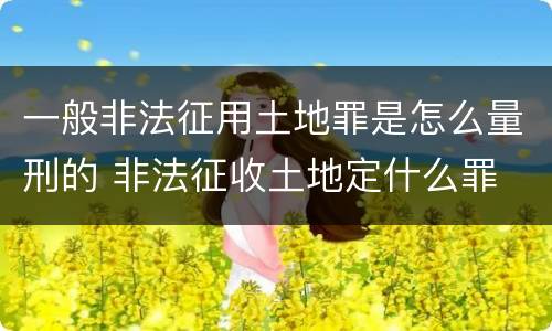 一般非法征用土地罪是怎么量刑的 非法征收土地定什么罪