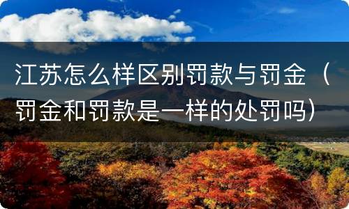 江苏怎么样区别罚款与罚金（罚金和罚款是一样的处罚吗）