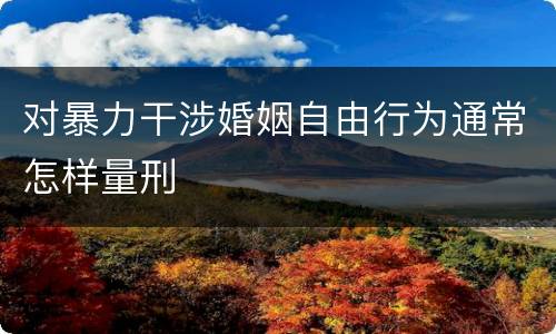 对暴力干涉婚姻自由行为通常怎样量刑