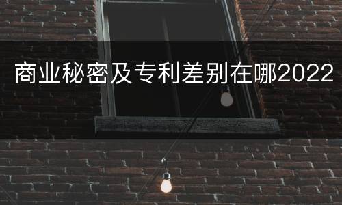 商业秘密及专利差别在哪2022