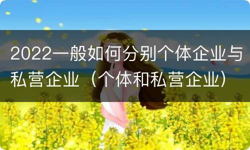 2022一般如何分别个体企业与私营企业（个体和私营企业）