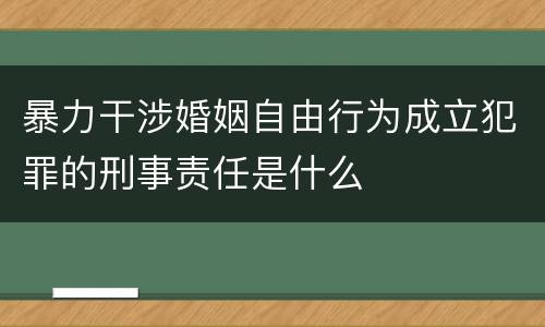 暴力干涉婚姻自由行为成立犯罪的刑事责任是什么