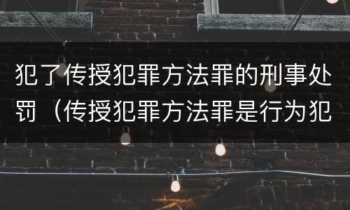 犯了传授犯罪方法罪的刑事处罚（传授犯罪方法罪是行为犯吗）
