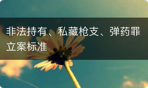 非法持有、私藏枪支、弹药罪立案标准