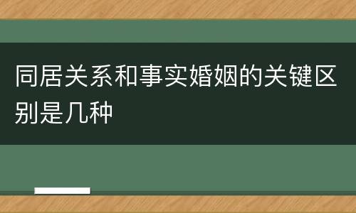 同居关系和事实婚姻的关键区别是几种