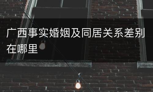 广西事实婚姻及同居关系差别在哪里