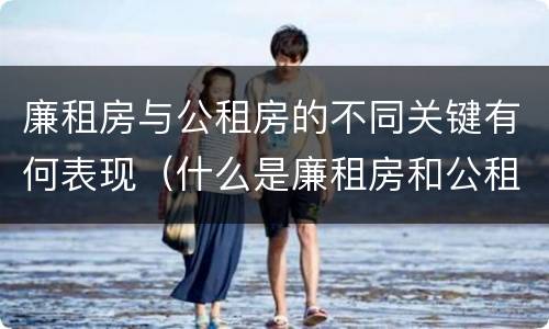 廉租房与公租房的不同关键有何表现（什么是廉租房和公租房两个有什么特点）