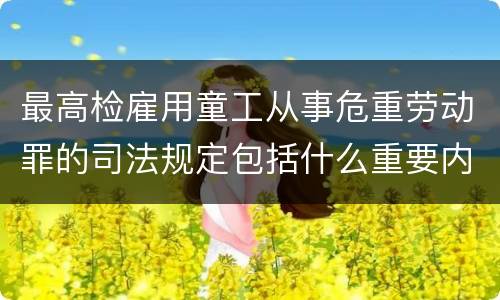 最高检雇用童工从事危重劳动罪的司法规定包括什么重要内容