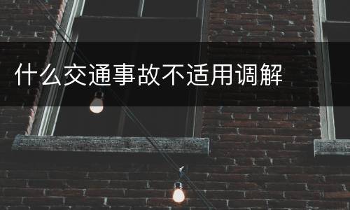 什么交通事故不适用调解