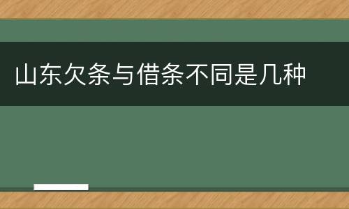 山东欠条与借条不同是几种