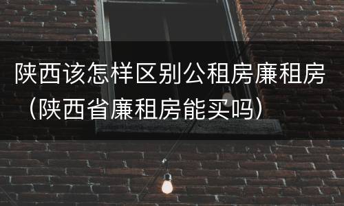 陕西该怎样区别公租房廉租房（陕西省廉租房能买吗）