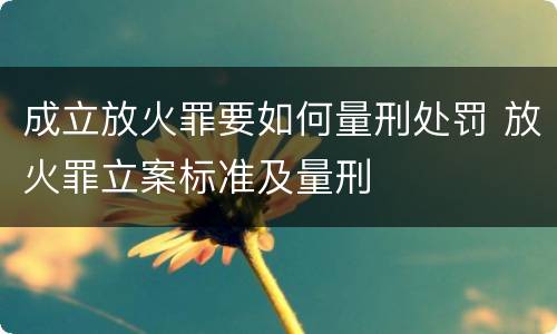 成立放火罪要如何量刑处罚 放火罪立案标准及量刑