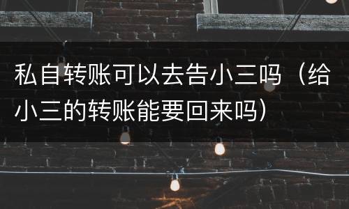 私自转账可以去告小三吗（给小三的转账能要回来吗）