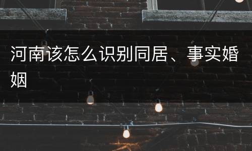 河南该怎么识别同居、事实婚姻