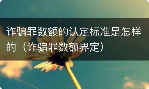 诈骗罪数额的认定标准是怎样的（诈骗罪数额界定）