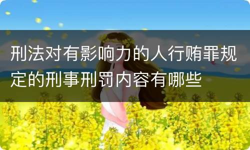 刑法对有影响力的人行贿罪规定的刑事刑罚内容有哪些