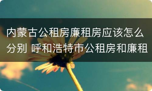 内蒙古公租房廉租房应该怎么分别 呼和浩特市公租房和廉租房的区别