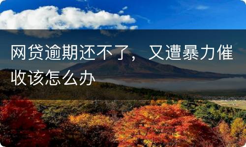 网贷逾期还不了，又遭暴力催收该怎么办