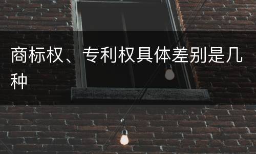 商标权、专利权具体差别是几种