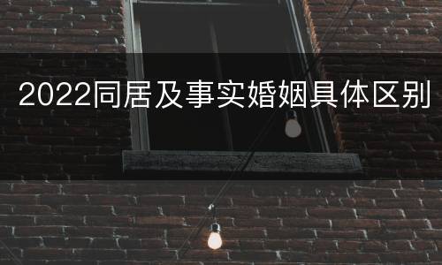 2022同居及事实婚姻具体区别