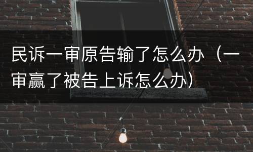 民诉一审原告输了怎么办（一审赢了被告上诉怎么办）