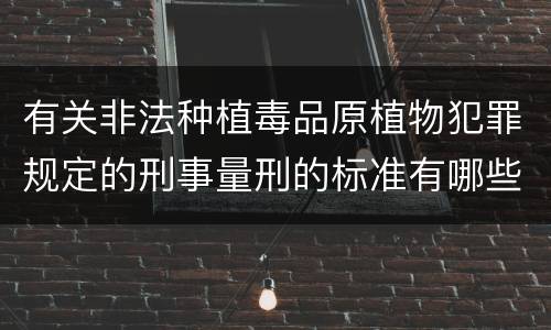 有关非法种植毒品原植物犯罪规定的刑事量刑的标准有哪些