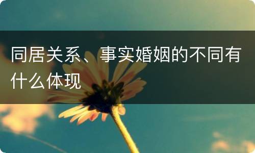 同居关系、事实婚姻的不同有什么体现