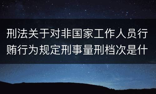 刑法关于对非国家工作人员行贿行为规定刑事量刑档次是什么