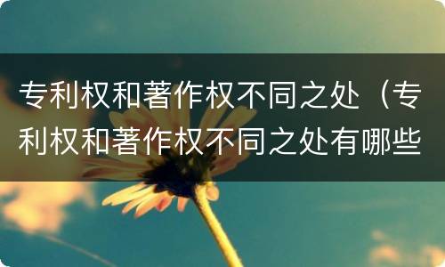 专利权和著作权不同之处（专利权和著作权不同之处有哪些）