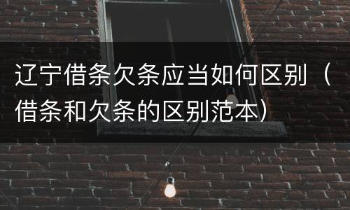 辽宁借条欠条应当如何区别（借条和欠条的区别范本）
