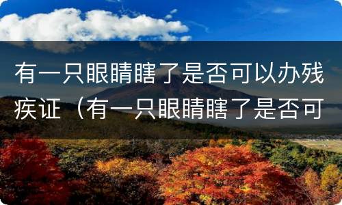 有一只眼睛瞎了是否可以办残疾证（有一只眼睛瞎了是否可以办残疾证呢）