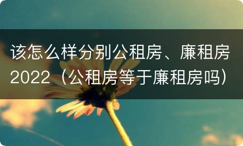 该怎么样分别公租房、廉租房2022（公租房等于廉租房吗）