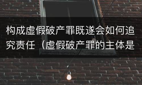 构成虚假破产罪既遂会如何追究责任（虚假破产罪的主体是）