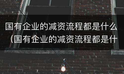 国有企业的减资流程都是什么（国有企业的减资流程都是什么样的）