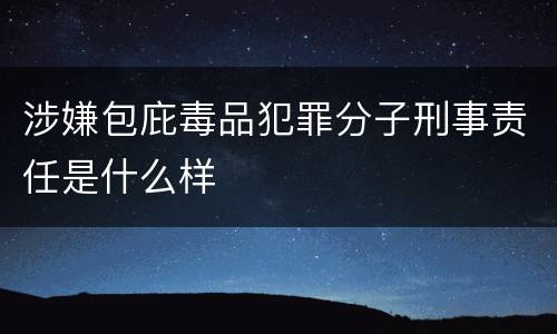 涉嫌包庇毒品犯罪分子刑事责任是什么样