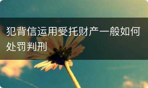 犯背信运用受托财产一般如何处罚判刑