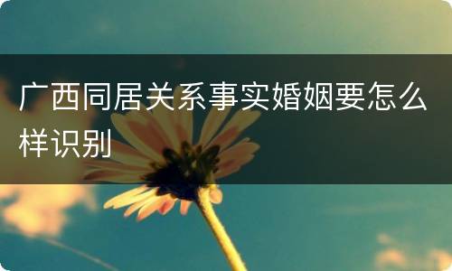 广西同居关系事实婚姻要怎么样识别