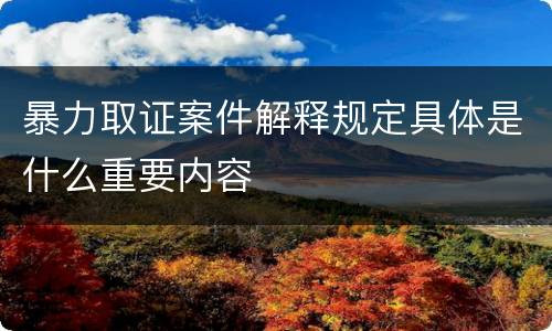 暴力取证案件解释规定具体是什么重要内容
