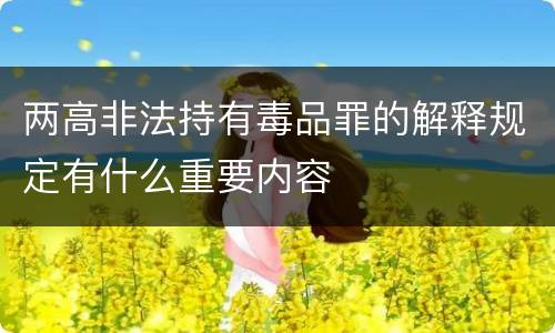 两高非法持有毒品罪的解释规定有什么重要内容