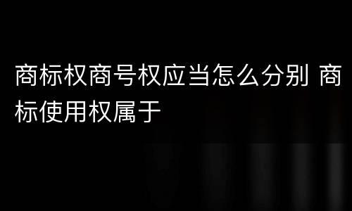 商标权商号权应当怎么分别 商标使用权属于