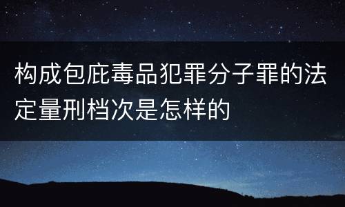 构成包庇毒品犯罪分子罪的法定量刑档次是怎样的