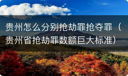 贵州怎么分别抢劫罪抢夺罪（贵州省抢劫罪数额巨大标准）