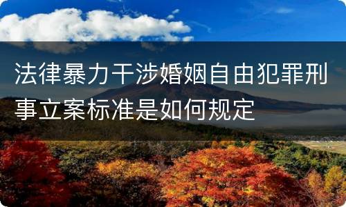 法律暴力干涉婚姻自由犯罪刑事立案标准是如何规定